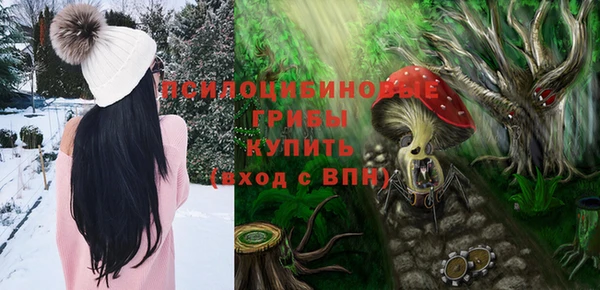 ешки Алексин