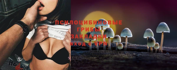 ешки Алексин