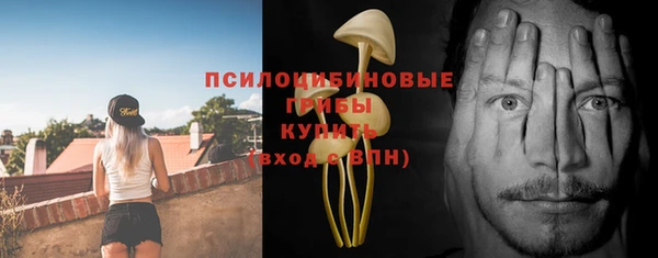 ешки Алексин
